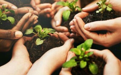 Consultoría para asociaciones y colectivos de las 14 comunidades área de influencia de la refinería impulsan emprendimientos productivos sostenibles e inclusivos para promover la formalidad.