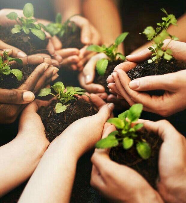 Consultoría para asociaciones y colectivos de las 14 comunidades área de influencia de la refinería impulsan emprendimientos productivos sostenibles e inclusivos para promover la formalidad.